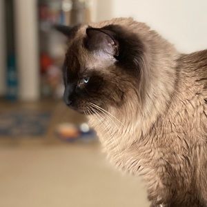 Meet your Posher, Larisa